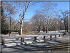 foto Central Park in Inverno